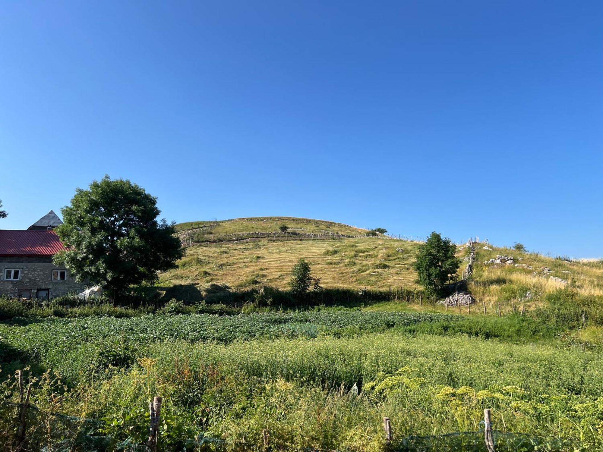Gornji LukomirKod Kapetana Tea住宿加早餐旅馆 外观 照片