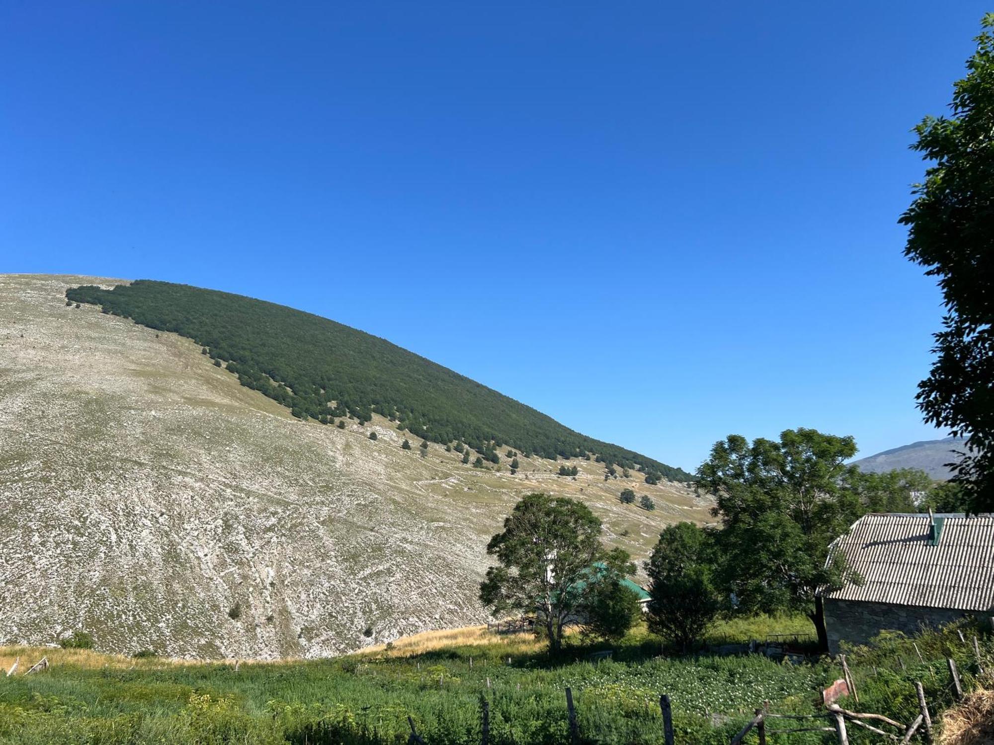 Gornji LukomirKod Kapetana Tea住宿加早餐旅馆 外观 照片